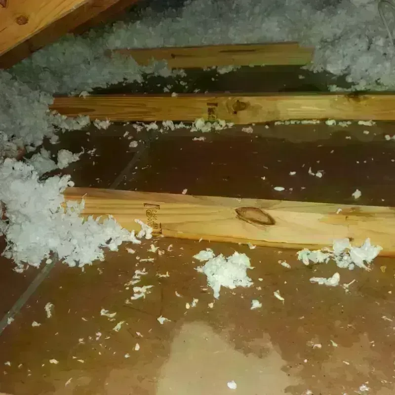 Attic Water Damage in Hammond, WI