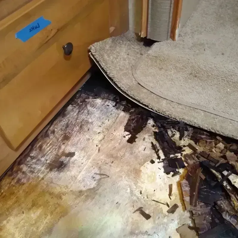 Wood Floor Water Damage in Hammond, WI